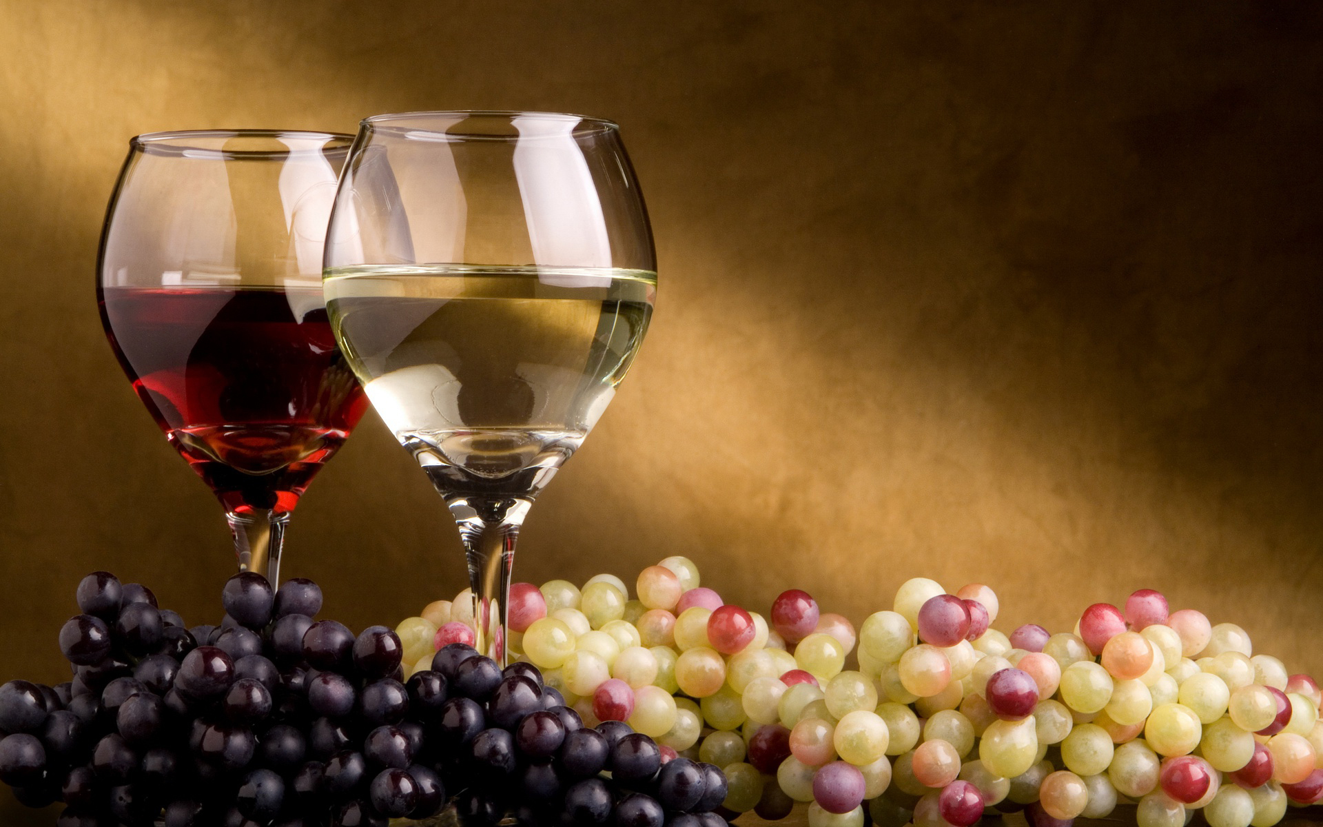 Blanc ou rouge quel vin avec le repas ? — free download